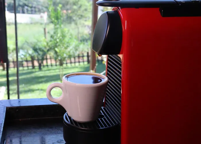 T24 Tinyhouse Container